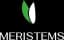 Meristems